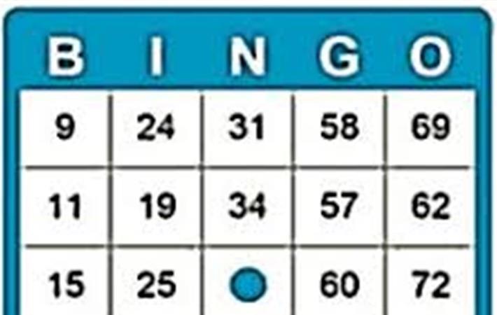 Bingo in de Vroone 