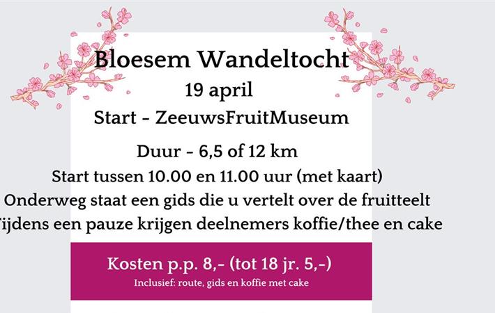 Bloesem Wandeltocht vanaf ZeeuwsFruitMuseum